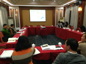 大目湾交通规划与概念设计咨询第一阶段成果顺利通过评审，开启智慧交通新篇章